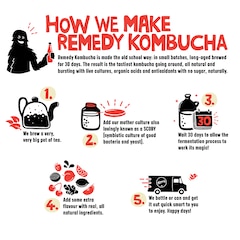 Image 2 for Kombucha Cherry Plum 250ml