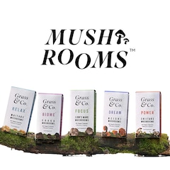 Image 5 for FOCUS Lion's Mane Mushrooms with Ginseng + Omega-3 60 Vegan Capsules